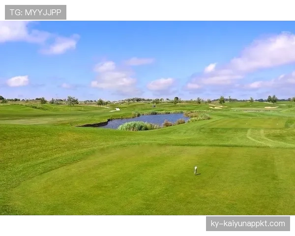 人工草场影响比赛判罚吗？规则如何界定场地合规性