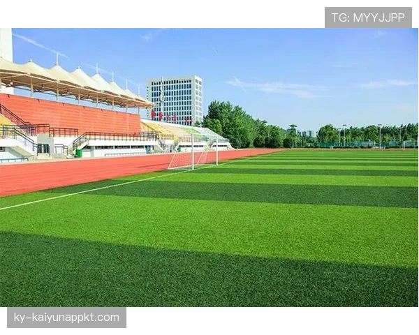 2026世界杯草坪标准规则有哪些