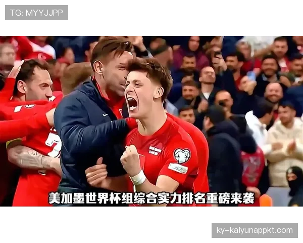 世界杯美国队D组综合实力评估